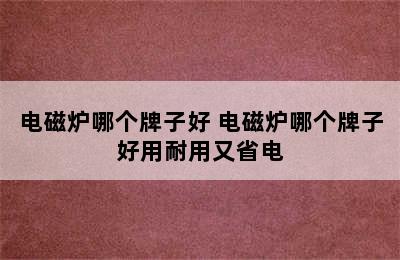 电磁炉哪个牌子好 电磁炉哪个牌子好用耐用又省电